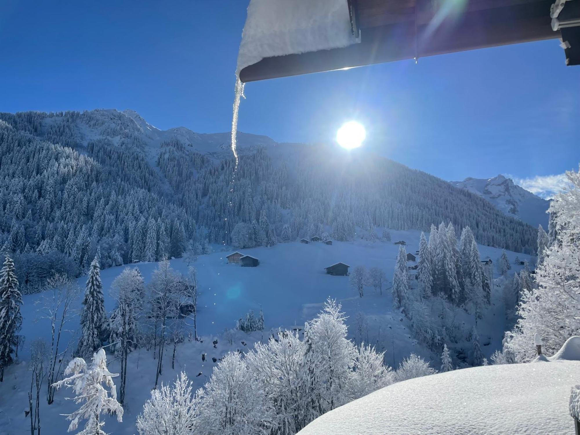 טשאגונס Alpenchalet Piz Huesli מראה חיצוני תמונה