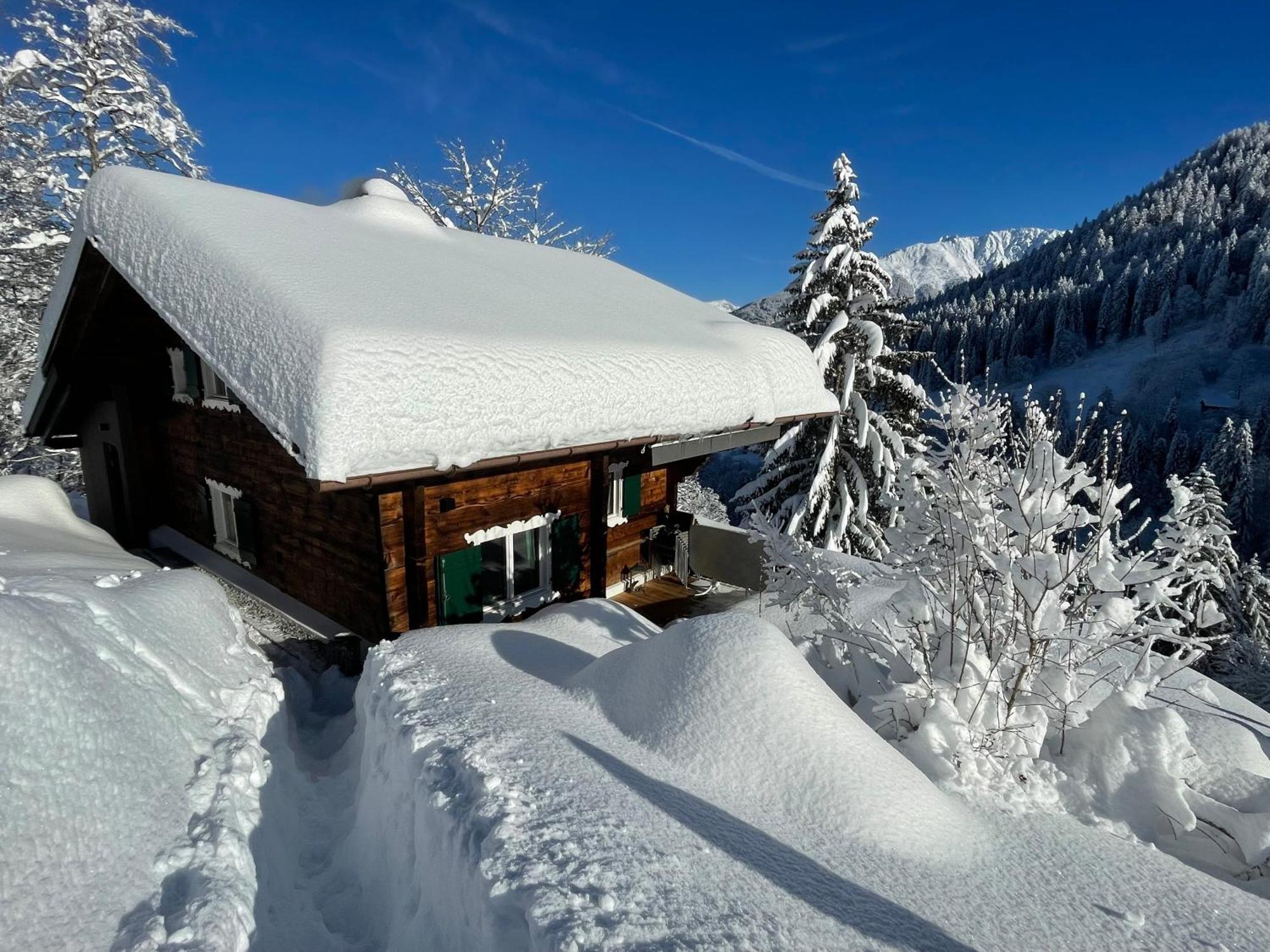 טשאגונס Alpenchalet Piz Huesli מראה חיצוני תמונה