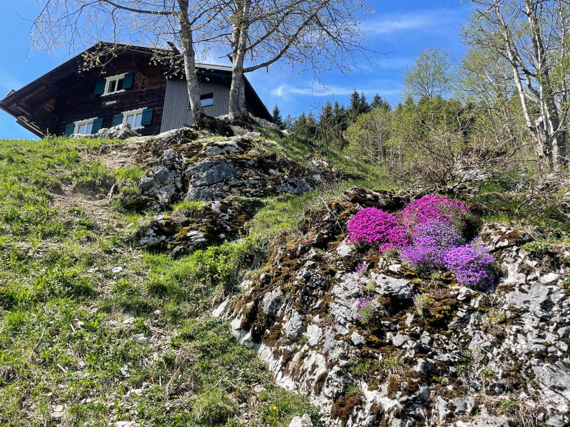 טשאגונס Alpenchalet Piz Huesli מראה חיצוני תמונה